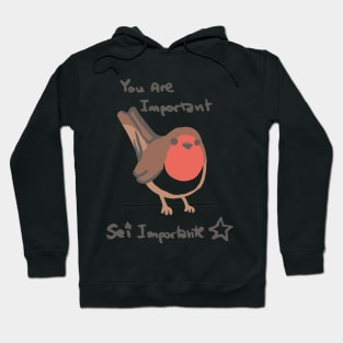 Redbreast - You Are Important Hoodie